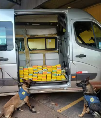Cães da PRF encontram quase 100 quilos de cocaína em fundo falso de van na BR-153 em Ourinhos