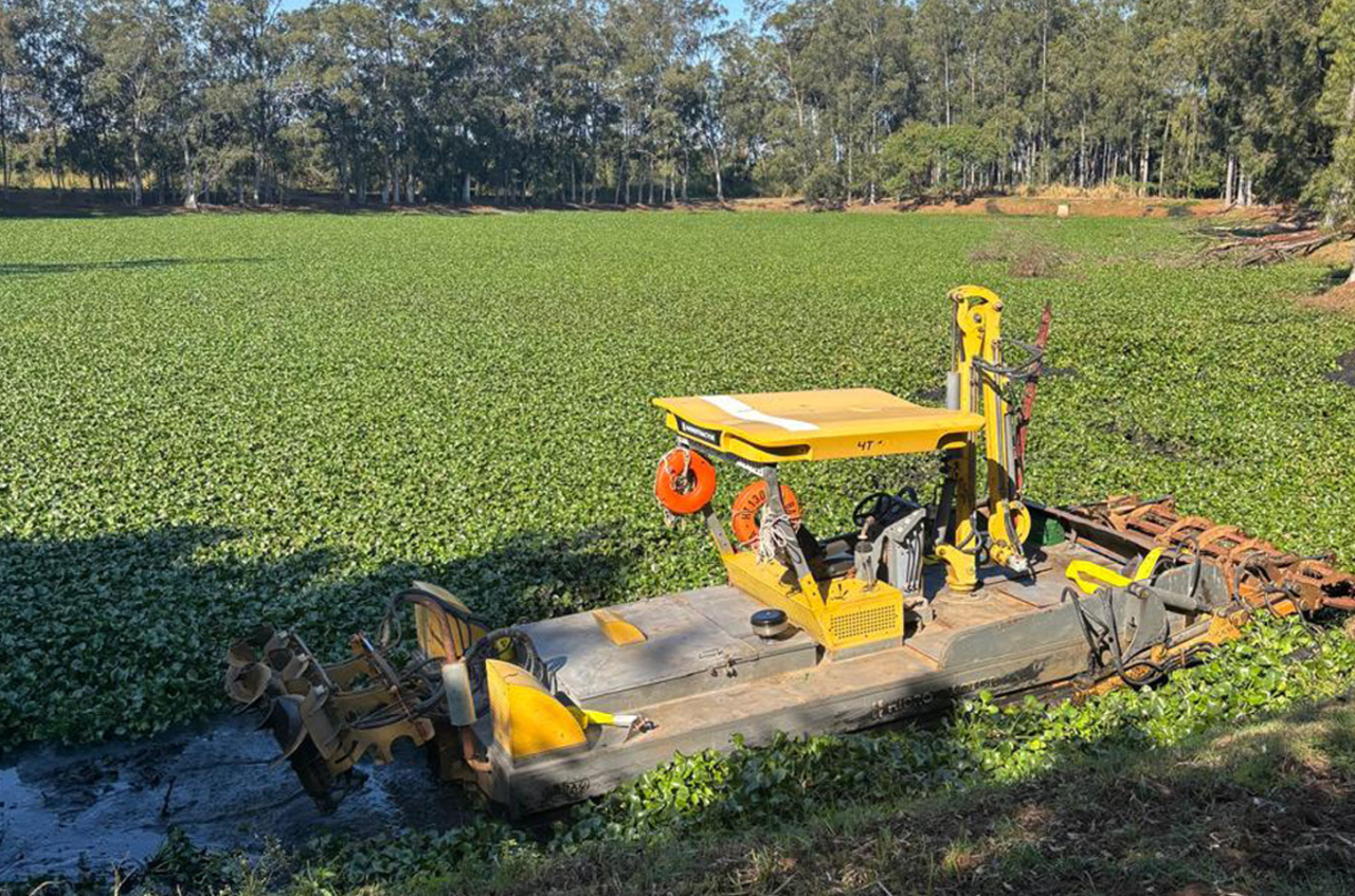 Depois da concessão, lagoas de tratamento de esgoto recebem limpeza técnica e controle de insetos