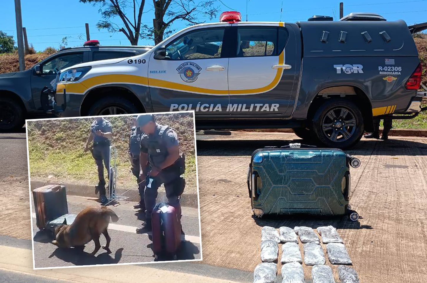Traficante internacional  é detido em ônibus de linha  em rodovia de Santa Cruz  do Rio Pardo