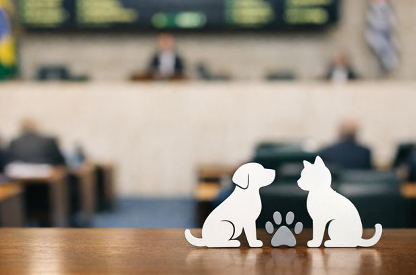 Alesp aprova projeto que autoriza sepultamento de cães e gatos junto aos donos em São Paulo