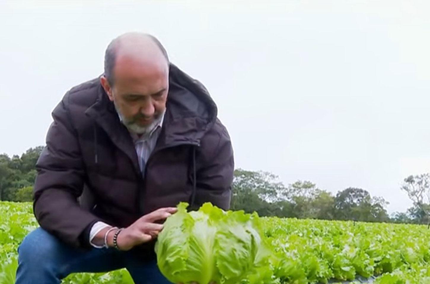 Do campo à mesa: Engenharia impulsiona produção no Cinturão Verde Paulista