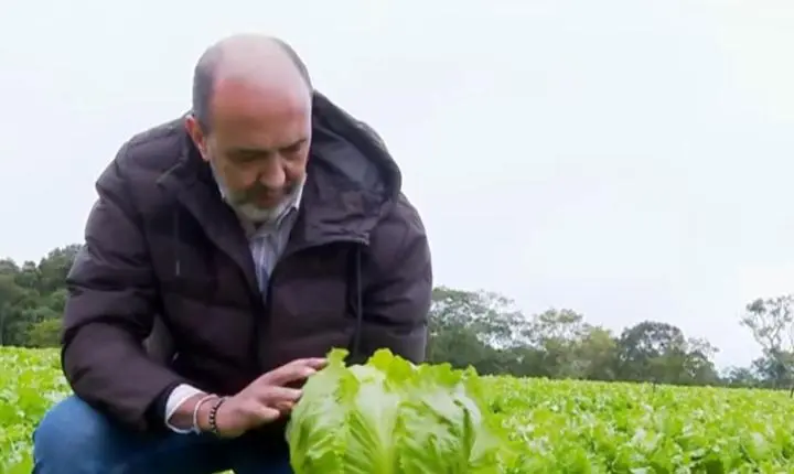 Do campo à mesa: Engenharia impulsiona produção no Cinturão Verde Paulista