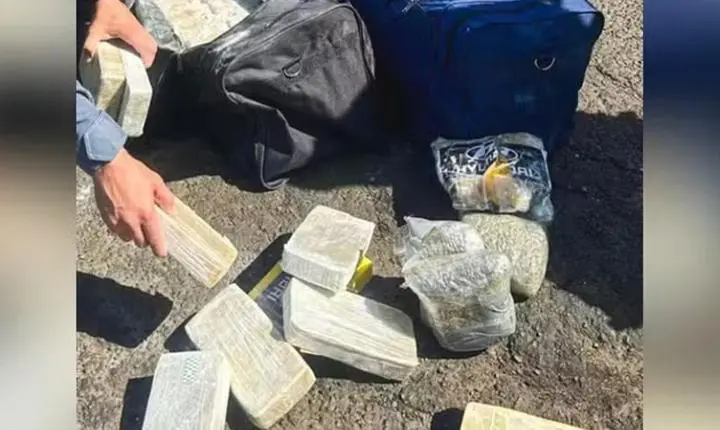 Força-tarefa apreende mais de 100 quilos de drogas e prende homem em Iaras